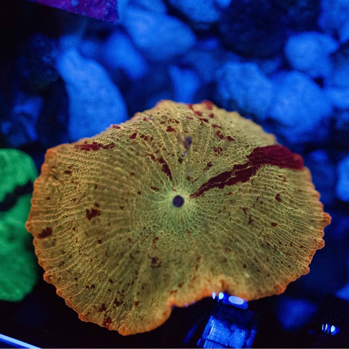 HAVALANDIRMA  HORTUMU GOLF 98> A3 97  1,8 AGN